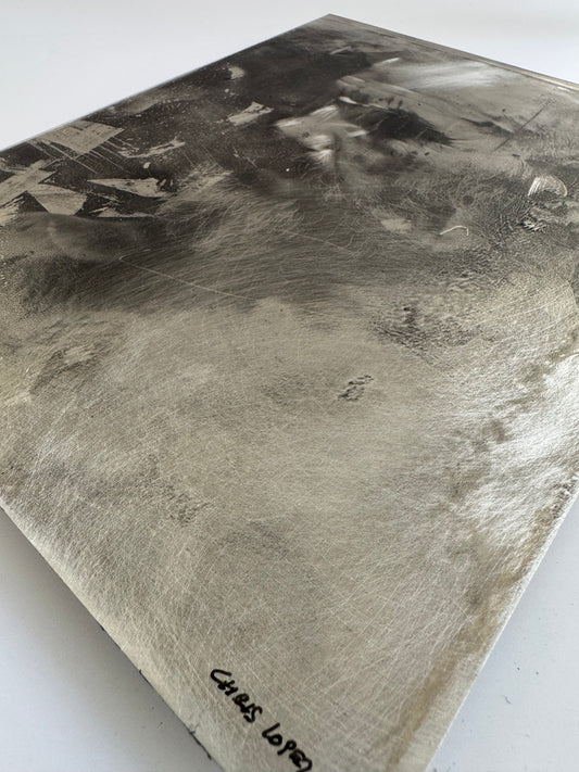 Jason 2, Artisan Print on Aluminum Panel, 8x10"