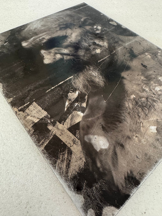 Jason 4, Artisan Print on Aluminum Panel, 8x10"