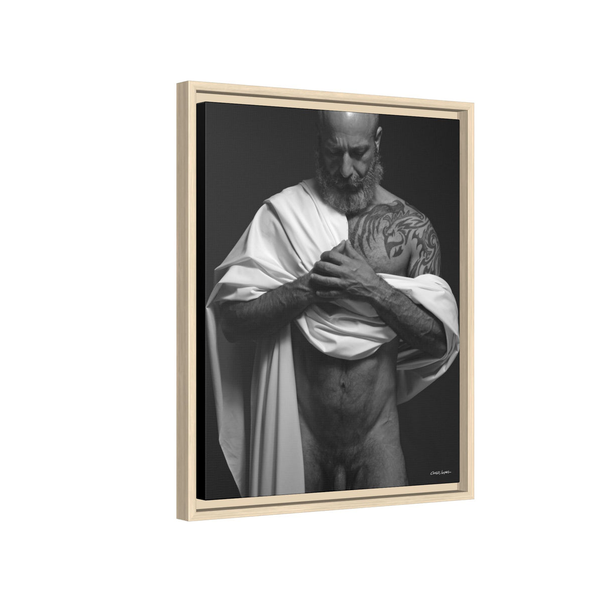 Barclay 2, Giclee Print on Matte Canvas, Framed (Multi-color)