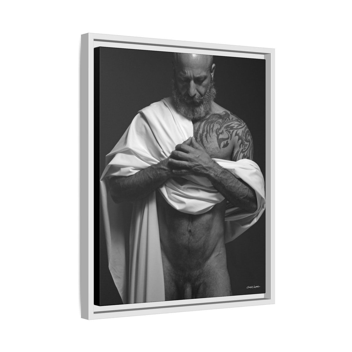 Barclay 2, Giclee Print on Matte Canvas, Framed (Multi-color)