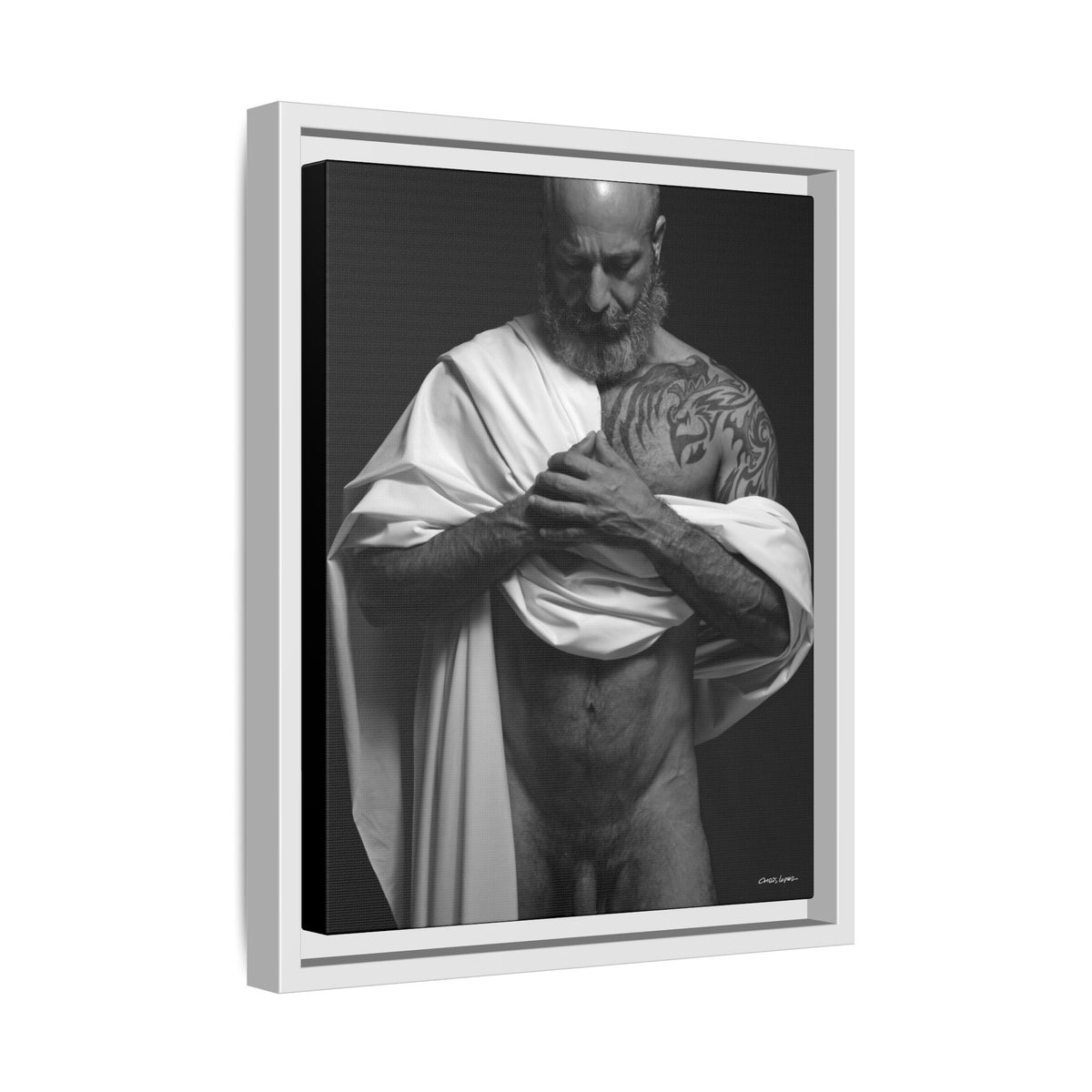 Barclay 2, Giclee Print on Matte Canvas, Framed (Multi-color)