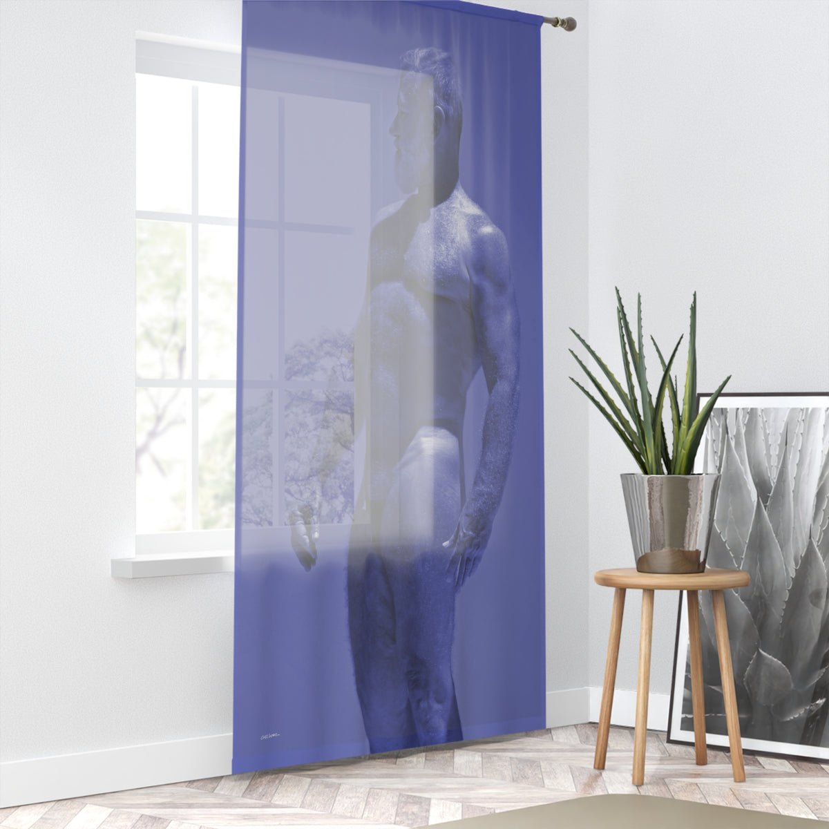 Joe 2, Textured Sheer Window Curtain