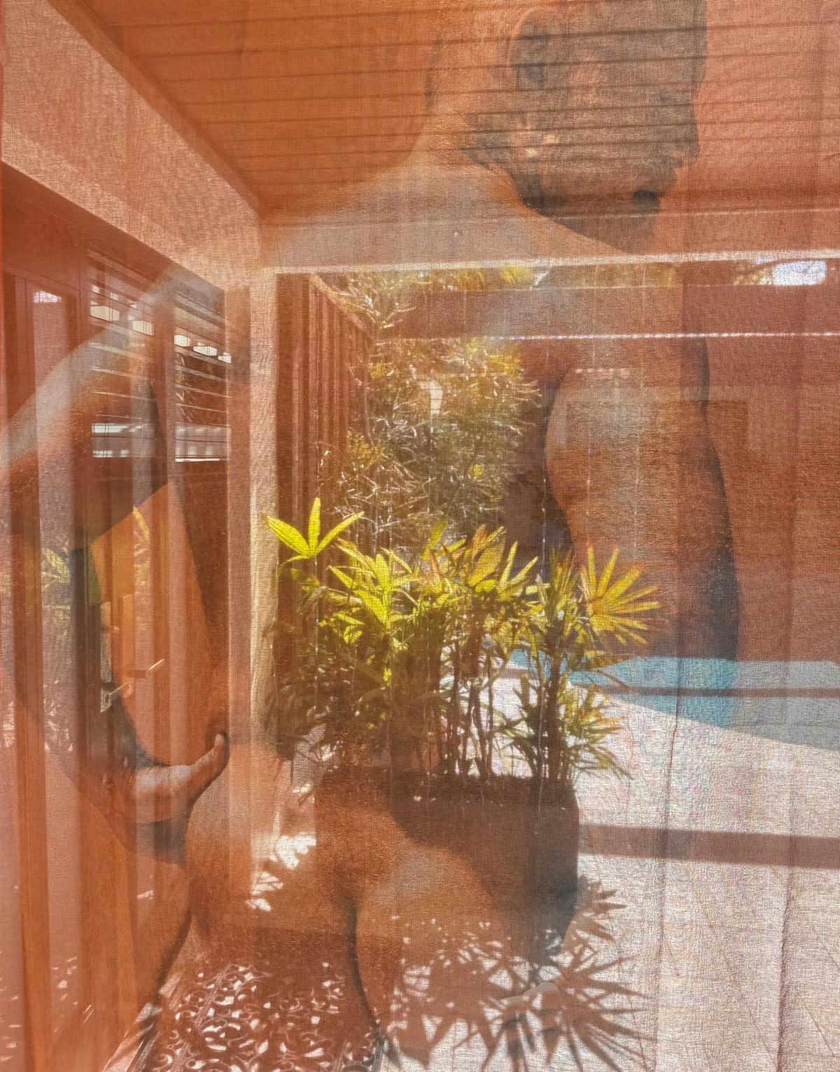 A view through a sheer brown mesh screen showing a warm-toned indoor space with plants and a blurred figure in the background.