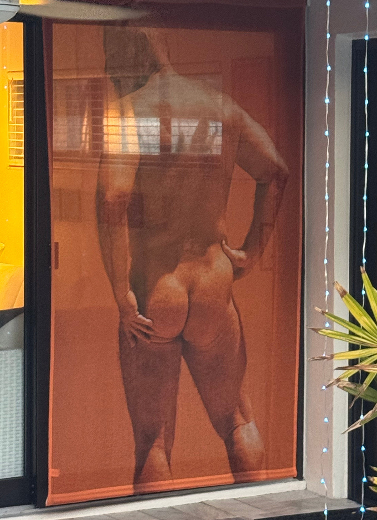 An outdoor doorway with a large printed nude male figure on a translucent orange-brown mesh screen, next to blue string lights and a green plant.